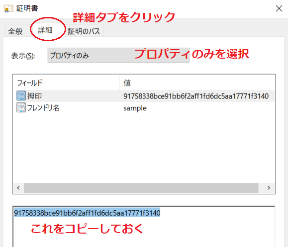 AWS Client VPN