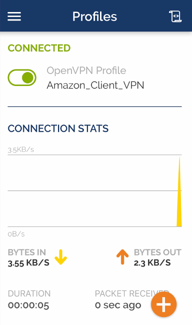 AWS Client VPN